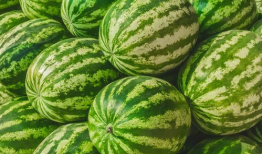 娱乐圈吃瓜要吃就吃个够,一网打尽，吃个够！